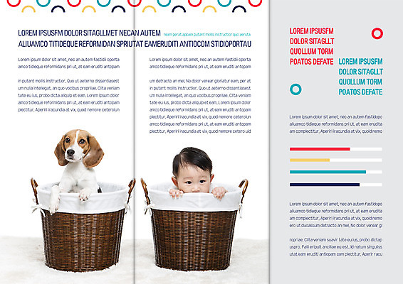 동물 템플릿 편집 한마리 표지디자인 북디자인 출판디자인 남자 내지 리플렛 북커버 3단접지 한명 앉기 팜플렛 바구니 한국인 육아 아기 비글 반려 이미지템플릿 AI파일 1 모션 사람 동양인 개 파일형식 벡터