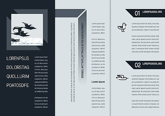 동물 템플릿 편집 표지디자인 북디자인 출판디자인 내지 리플렛 바다 북커버 여러마리 3단접지 자연 갈매기 조류 팜플렛 사람없음 이미지템플릿 AI파일 다수 생태계 파일형식 벡터