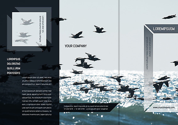 동물 템플릿 편집 표지디자인 북디자인 출판디자인 표지 리플렛 바다 북커버 여러마리 3단접지 자연 갈매기 조류 팜플렛 사람없음 이미지템플릿 AI파일 다수 생태계 파일형식 벡터