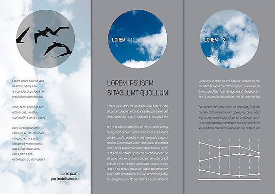 동물 구름 템플릿 편집 표지디자인 북디자인 출판디자인 내지 리플렛 북커버 여러마리 3단접지 자연 조류 하늘 그래프 팜플렛 사람없음 이미지템플릿 AI파일 자연요소 다수 생태계 파일형식 벡터