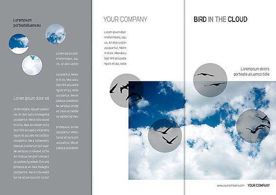 동물 구름 템플릿 편집 표지디자인 북디자인 출판디자인 표지 리플렛 북커버 여러마리 3단접지 자연 조류 하늘 팜플렛 사람없음 이미지템플릿 AI파일 자연요소 다수 생태계 파일형식 벡터