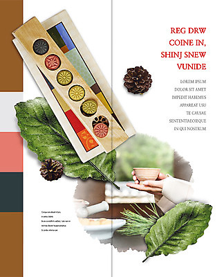 PSD 템플릿 편집 한국전통 표지디자인 북디자인 손 출판디자인 여자 내지 리플렛 2단접지 북커버 나뭇잎 한명 들기 팜플렛 신체부위 전통음식 양손 전통차 찻잔 솔방울 솔잎 다식 오색다식 이미지템플릿 1 전통 음식 잎 모션 잔 한국 사람 차_음료 파일형식