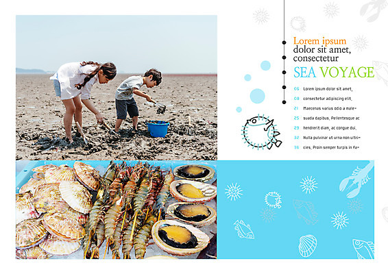 PSD 템플릿 편집 표지디자인 북디자인 출판디자인 여자 어린이교육 교육 남자 내지 어린이 리플렛 북커버 새우 소녀 소년 팜플렛 두명 한국인 체험학습 양동이 전복 가리비 갯벌 이미지템플릿 조개 어패류 갑각류 사람 동양인 체험 파일형식