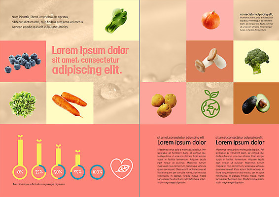 PSD 템플릿 편집 표지디자인 북디자인 출판디자인 내지 지구 리플렛 채소 북커버 과일 식재료 그래프 감자 팜플렛 사람없음 새싹 버섯 당근 다양 브로콜리 유기농 블루베리 청경채 석류 아보카도 이미지템플릿 식물 웰빙 다수 뿌리채소 파일형식