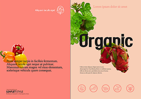 PSD 식물 템플릿 편집 표지디자인 북디자인 출판디자인 표지 리플렛 채소 북커버 과일 파프리카 팜플렛 사람없음 유기농 용과 다육식물 이미지템플릿 웰빙 파일형식