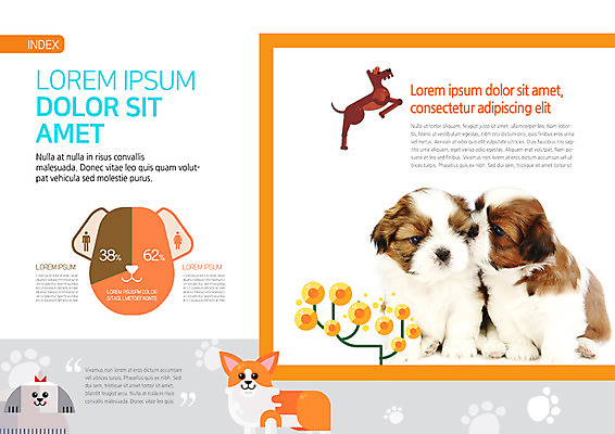 PSD 동물 템플릿 편집 표지디자인 북디자인 출판디자인 내지 새끼 리플렛 북커버 여러마리 팜플렛 사람없음 개 시츄 반려 이미지템플릿 다수 포유류 파일형식