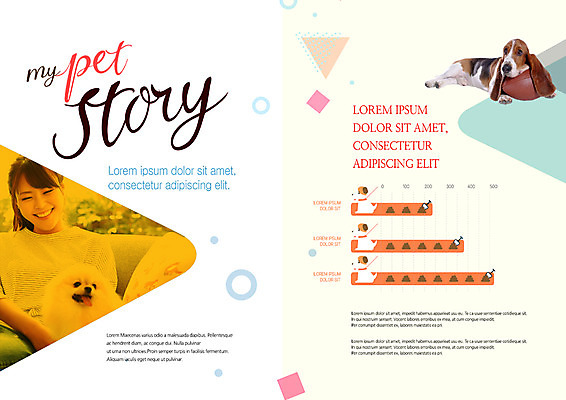 PSD 동물 템플릿 편집 표지디자인 북디자인 출판디자인 여자 내지 리플렛 두마리 북커버 한명 웃음 팜플렛 20대 성인 한국인 개 럭비공 바셋하운드 반려 이미지템플릿 1 2 공 포유류 표정 사람 동양인 청년 하운드 럭비용품 파일형식