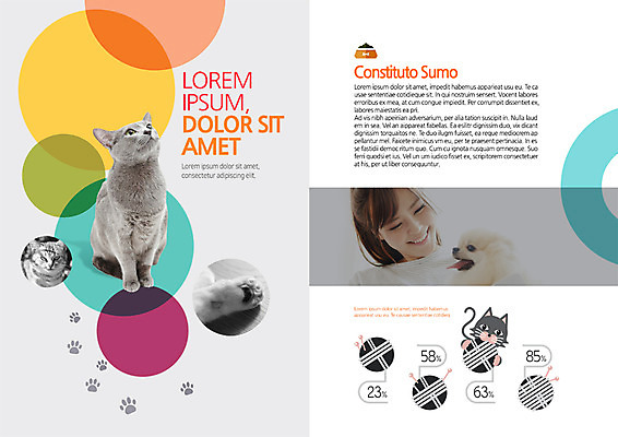 PSD 동물 템플릿 편집 표지디자인 북디자인 출판디자인 여자 내지 리플렛 북커버 여러마리 한명 웃음 팜플렛 20대 성인 반려동물 고양이 한국인 개 발바닥 개발자국 반려 이미지템플릿 1 다수 포유류 발 표정 사람 동양인 청년 발자국 파일형식