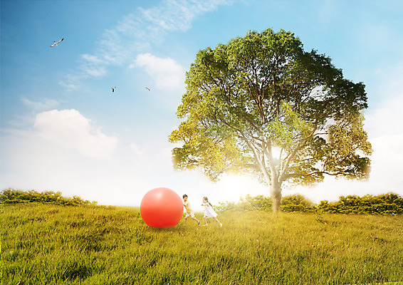 PSD 나무 구름 편집이미지 여자 어린이교육 교육 남자 어린이 공 자연 조류 하늘 잔디 두명 달리기 한국인 이미지편집 자연요소 식물 동물 모션 사람 동양인 생태계 파일형식