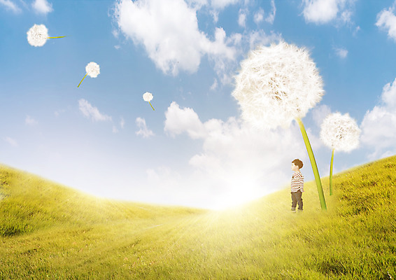 PSD 구름 편집이미지 어린이교육 교육 남자 어린이 자연 하늘 한명 서기 잔디 한국인 언덕 민들레홀씨 이미지편집 자연요소 식물 1 모션 사람 동양인 민들레 생태계 파일형식