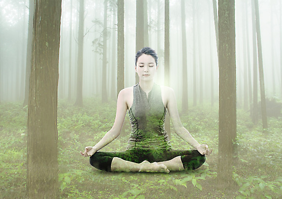 전신 PSD 나무 편집이미지 우먼라이프 여자 요가 한명 앉기 20대 성인 운동복 뷰티 눈감음 한국인 숲 명상 이미지편집 식물 1 라이프스타일 웰빙 옷 모션 사람 동양인 청년 파일형식