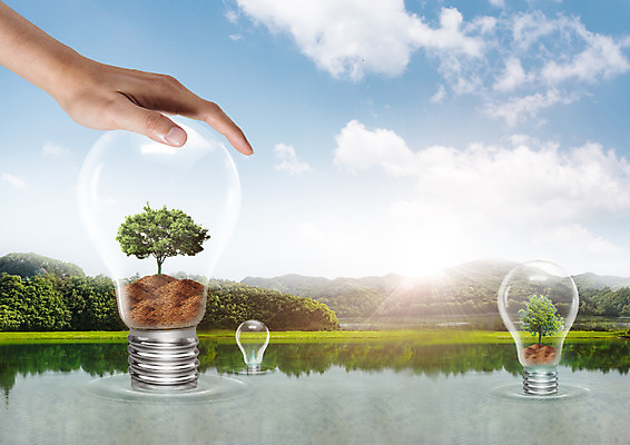 PSD 나무 구름 편집이미지 손 호수 전구 자연 하늘 산 신체부위 흙 이미지편집 자연요소 식물 사람 생태계 파일형식