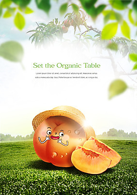 PSD 편집이미지 음식 나뭇잎 사람없음 농작물 유기농 밀짚모자 음식캐릭터 복숭아 복사나무 이미지편집 나무 캐릭터 모자_잡화 웰빙 잎 농업 과일 파일형식