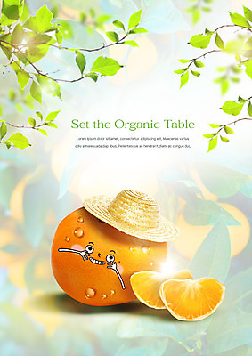 PSD 편집이미지 음식 나뭇잎 귤 사람없음 농작물 유기농 밀짚모자 음식캐릭터 이미지편집 캐릭터 모자_잡화 웰빙 잎 농업 과일 파일형식