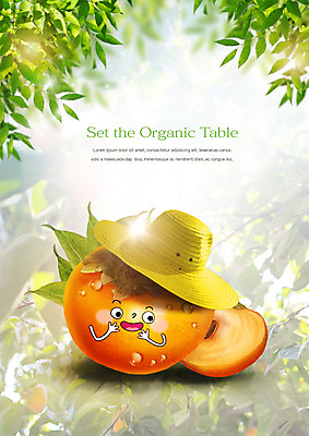 PSD 편집이미지 음식 나뭇잎 감 사람없음 농작물 감나무 유기농 밀짚모자 음식캐릭터 이미지편집 나무 캐릭터 모자_잡화 웰빙 잎 농업 과일 파일형식