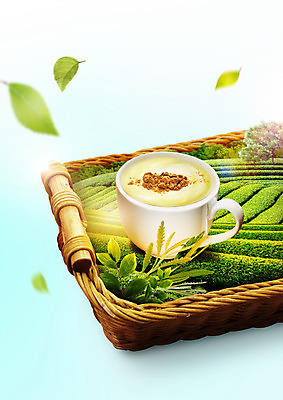 PSD 나무 편집이미지 음식 나뭇잎 사람없음 바구니 찻잔 녹차밭 찻잎 녹차라떼 이미지편집 식물 잎 밭 잔 차_음료 녹차 라떼 파일형식