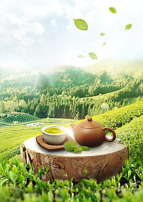 PSD 나무 구름 편집이미지 음식 자연 하늘 나뭇잎 사람없음 숲 찻잔 찻주전자 녹차 통나무 녹차밭 찻잎 이미지편집 자연요소 식물 잎 밭 주전자 잔 차_음료 생태계 파일형식