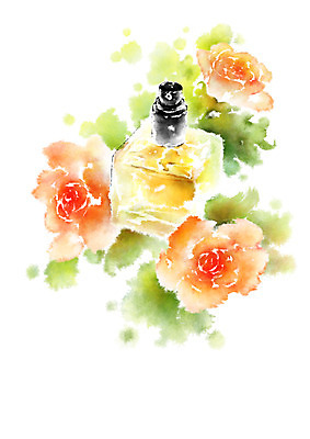 PSD 꽃 일러스트 캘리그라피 사람없음 뷰티 화장품 향수 국내일러스트 식물 파일형식