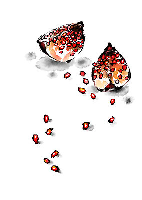 PSD 음식 일러스트 캘리그라피 단면 씨앗 사람없음 석류 국내일러스트 식물 과일 파일형식