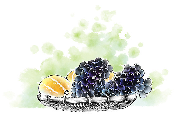 PSD 음식 일러스트 캘리그라피 포도 사람없음 광주리 참외 국내일러스트 과일 바구니 파일형식