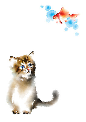 PSD 동물 두마리 일러스트 캘리그라피 사람없음 고양이 금붕어 번짐 반려 국내일러스트 2 포유류 어류 반려동물 파일형식 효과