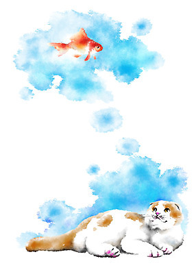 PSD 동물 두마리 일러스트 캘리그라피 사람없음 눕기 고양이 올려보기 금붕어 번짐 반려 국내일러스트 2 포유류 모션 어류 반려동물 파일형식 효과