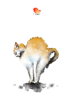 PSD 동물 나비 곤충 두마리 일러스트 캘리그라피 사람없음 고양이 스트레칭 번짐 반려 국내일러스트 2 포유류 반려동물 운동 파일형식 효과