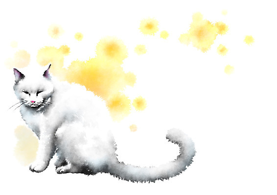 PSD 동물 한마리 일러스트 캘리그라피 사람없음 고양이 잠 번짐 반려 국내일러스트 1 포유류 반려동물 파일형식 효과