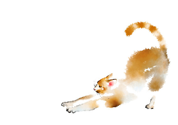 PSD 동물 한마리 일러스트 캘리그라피 사람없음 고양이 스트레칭 반려 국내일러스트 1 포유류 반려동물 운동 파일형식