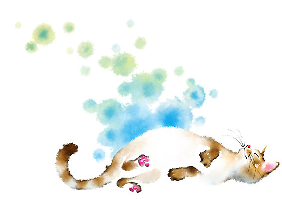 PSD 동물 한마리 일러스트 캘리그라피 사람없음 눕기 고양이 잠 번짐 반려 국내일러스트 1 포유류 모션 반려동물 파일형식 효과