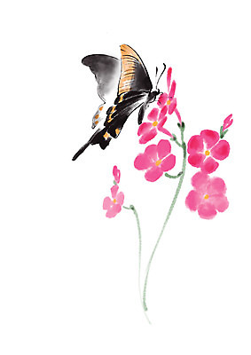 PSD 식물 동물 한마리 꽃 여러송이 나비 곤충 일러스트 캘리그라피 사람없음 국내일러스트 1 다수 파일형식