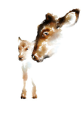 PSD 동물 두마리 일러스트 캘리그라피 사람없음 가축 소 송아지 국내일러스트 새끼 2 포유류 파일형식