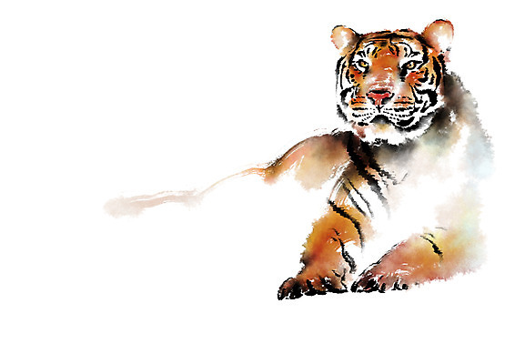 PSD 동물 한마리 야생동물 일러스트 캘리그라피 사람없음 호랑이 맹수 국내일러스트 1 포유류 파일형식