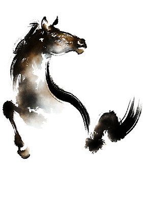 PSD 동물 한마리 일러스트 캘리그라피 자연 붓터치 사람없음 말_동물 국내일러스트 1 포유류 생태계 파일형식