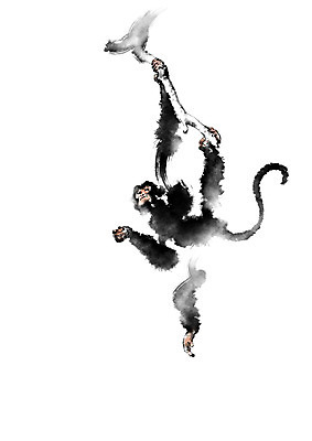 PSD 동물 한마리 야생동물 일러스트 캘리그라피 매달리기 사람없음 나뭇가지 원숭이 국내일러스트 나무 1 포유류 모션 파일형식