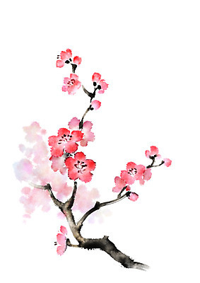 PSD 식물 꽃 분홍색 여러송이 일러스트 캘리그라피 사람없음 빨간색 나뭇가지 매화 국내일러스트 나무 컬러 다수 파일형식