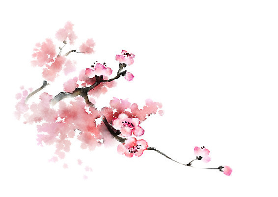 PSD 식물 꽃 분홍색 여러송이 일러스트 캘리그라피 사람없음 빨간색 나뭇가지 매화 국내일러스트 나무 컬러 다수 파일형식