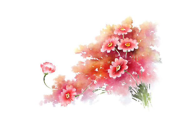 PSD 식물 꽃 분홍색 여러송이 일러스트 캘리그라피 사람없음 빨간색 번짐 국내일러스트 컬러 다수 파일형식 효과