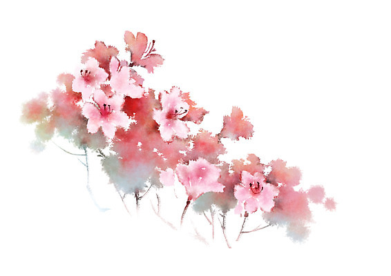 PSD 식물 꽃 여러송이 일러스트 봄꽃 캘리그라피 사람없음 빨간색 진달래 번짐 국내일러스트 컬러 다수 봄 파일형식 효과