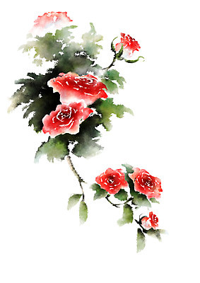 PSD 식물 꽃 여러송이 일러스트 캘리그라피 사람없음 빨간색 장미 국내일러스트 컬러 다수 파일형식