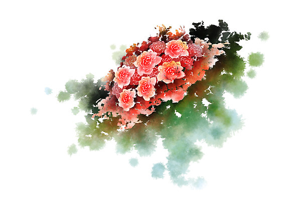 PSD 식물 꽃 여러송이 일러스트 캘리그라피 사람없음 빨간색 장미 번짐 국내일러스트 컬러 다수 파일형식 효과