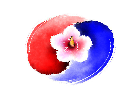 PSD 한국전통 한송이 일러스트 캘리그라피 사람없음 전통문양 태극 무궁화 애국심 국내일러스트 1 전통 문양 꽃 한국 송이 파일형식