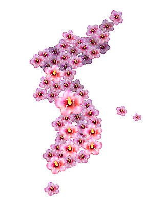 PSD 한국전통 여러송이 지도 일러스트 캘리그라피 사람없음 무궁화 한반도 애국심 국내일러스트 전통 꽃 다수 한국 파일형식