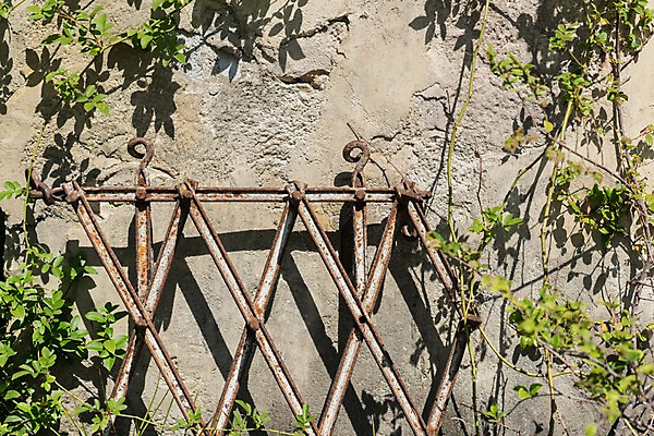 포토 JPG 주간 벽 사람없음 야외 철 부식 덩쿨나무 국내포토 자연요소 나무 파일형식