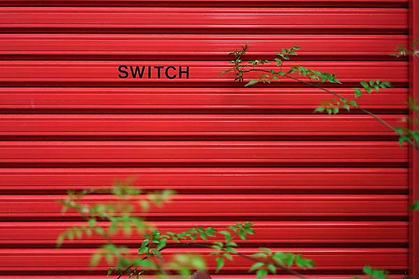 포토 JPG 주간 백그라운드 잎 사람없음 야외 빨간색 나뭇가지 셔터 국내포토 자연요소 나무 식물 컬러 파일형식