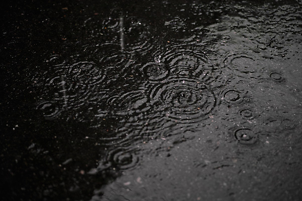 포토 JPG 주간 백그라운드 자연 사람없음 야외 비 국내포토 자연요소 날씨 생태계 파일형식