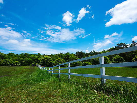 포토 JPG 주간 나무 구름 자연 하늘 풍경 사람없음 야외 울타리 숲 국내포토 자연요소 식물 담장 생태계 파일형식