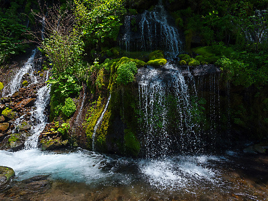 포토 JPG 주간 나무 자연 풍경 사람없음 야외 계곡 폭포 바위 물흐름 국내포토 자연요소 식물 흐름 돌_바위 생태계 파일형식