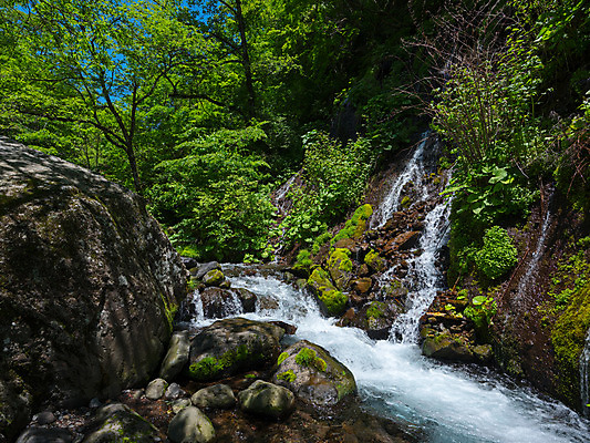 포토 JPG 주간 나무 자연 풍경 사람없음 야외 계곡 폭포 바위 물흐름 국내포토 자연요소 식물 흐름 돌_바위 생태계 파일형식