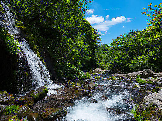 포토 JPG 주간 나무 구름 자연 하늘 풍경 사람없음 야외 계곡 폭포 바위 숲 물흐름 국내포토 자연요소 식물 흐름 돌_바위 생태계 파일형식